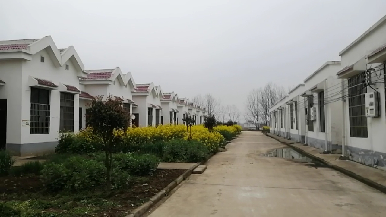 河南农村新房子图片