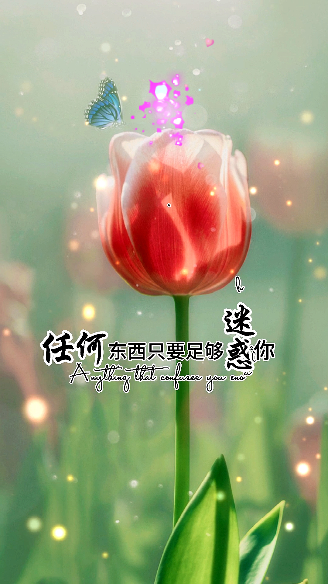 扎心情感语录#心软是病,情深致命,不要寄希望于任何人