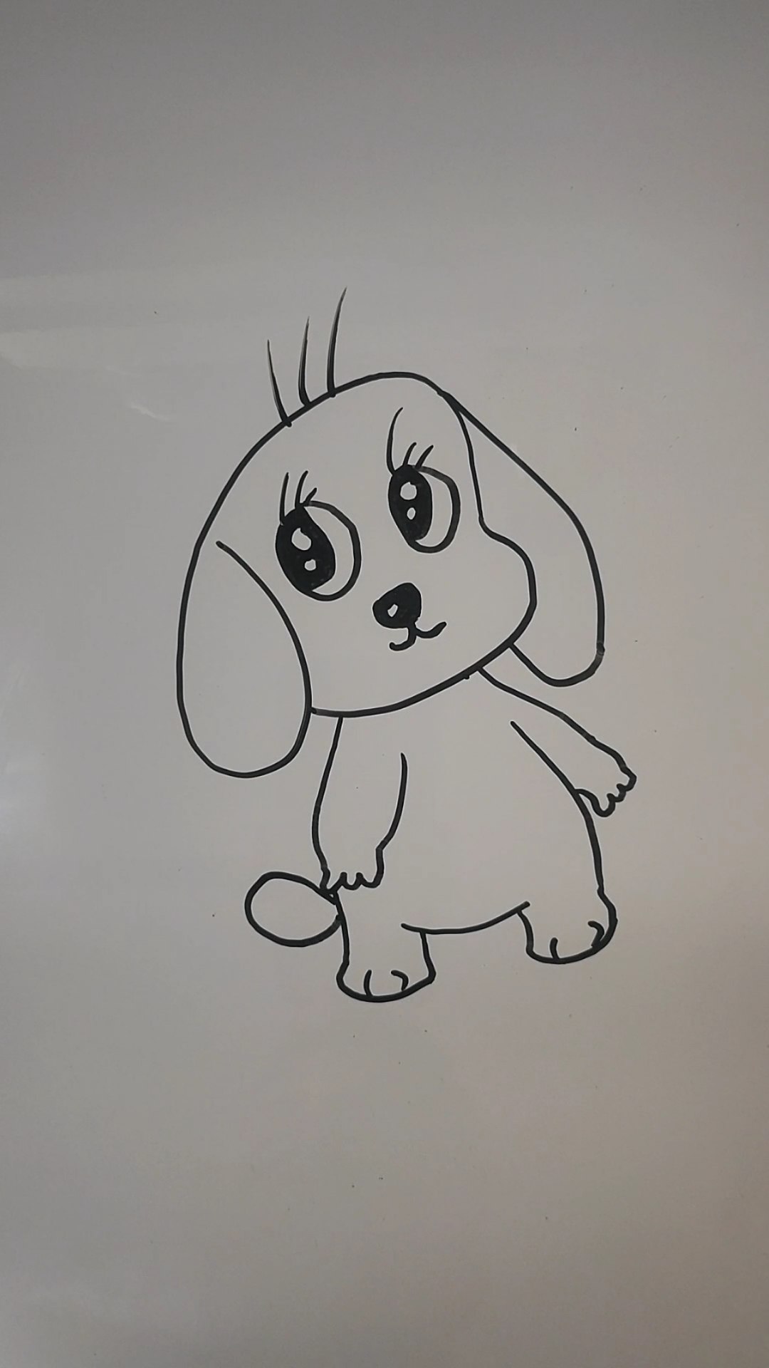 一只狗的简笔画简单图片