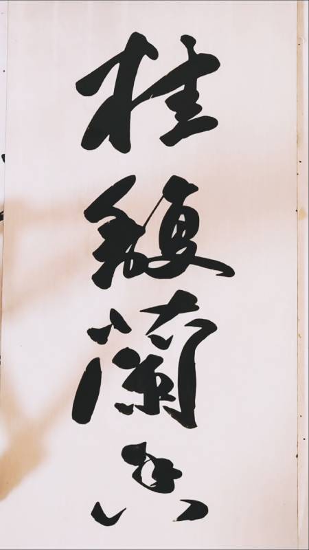 三熙书苑桂馥兰香敬请师长好友光临指导谢谢支持