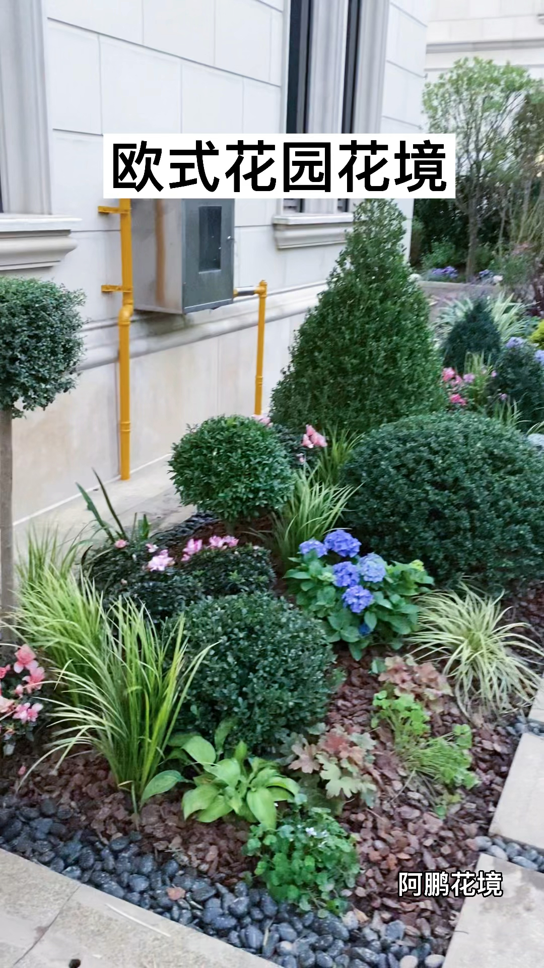 花境#欧式花园当然要欧式花境,花境让你的花园更更美丽.