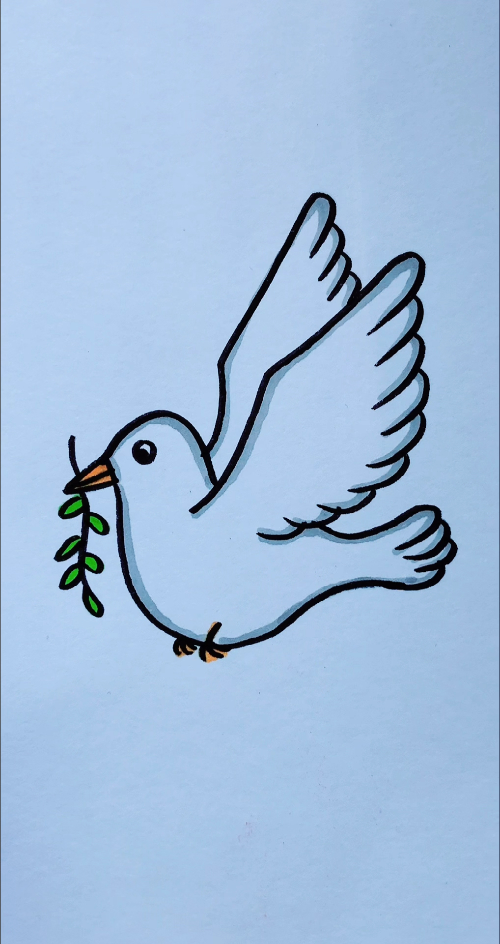 画画原来如此简单简笔画鸽子