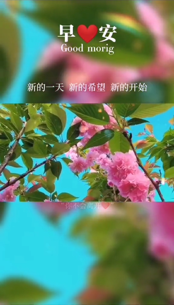 生活赐予你一个新的开始,争取更多的美好和幸运.#新生活#新希望