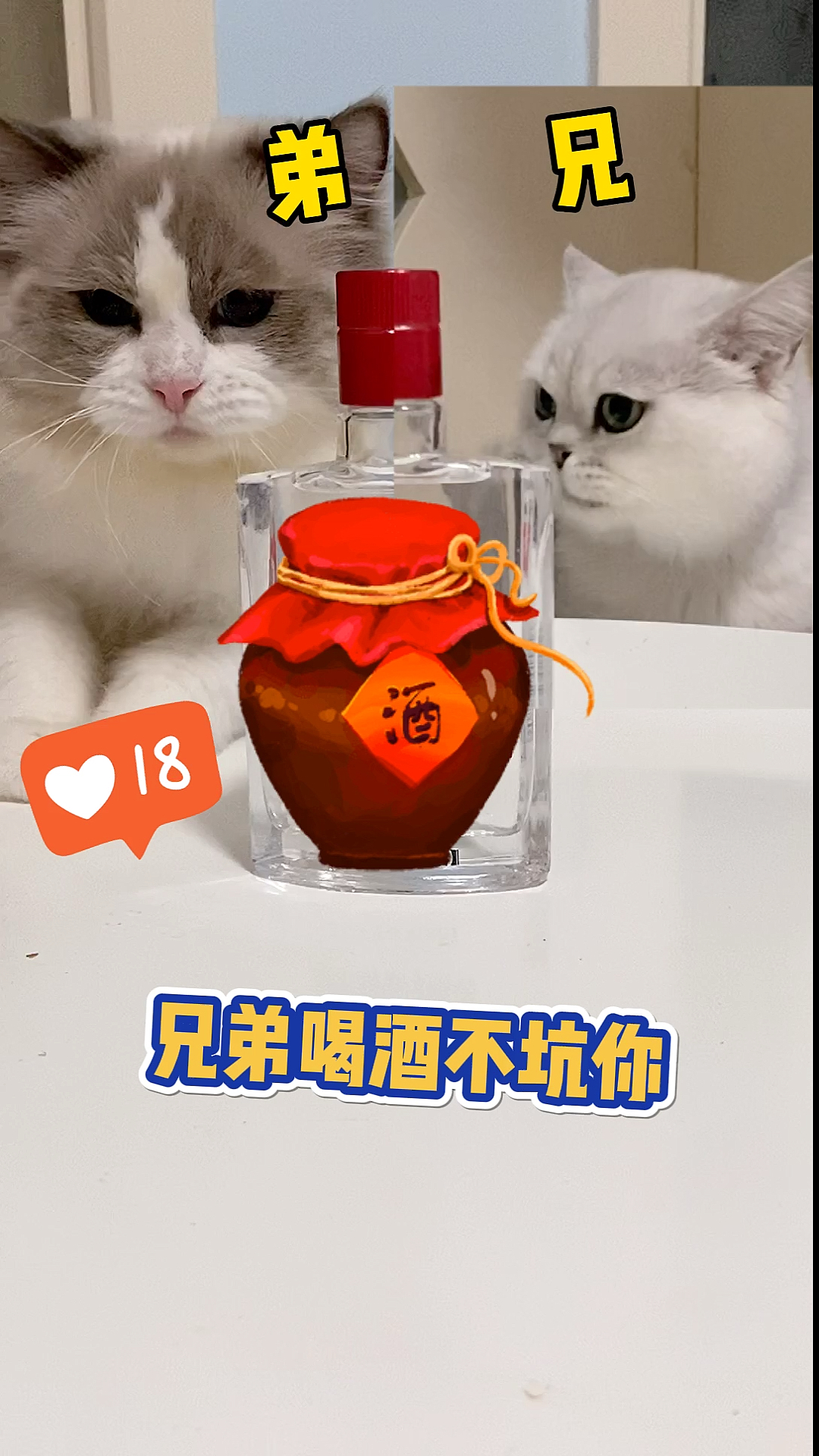 我家萌宠成精啦#养鱼呢你!喝完!