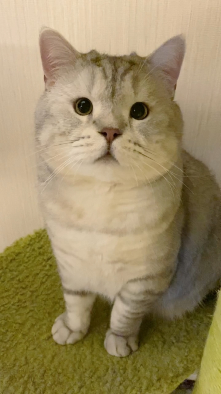 不能说毫不相干吧简直一模一样…梅尼耶李荣浩傻傻分不清,你们觉得更