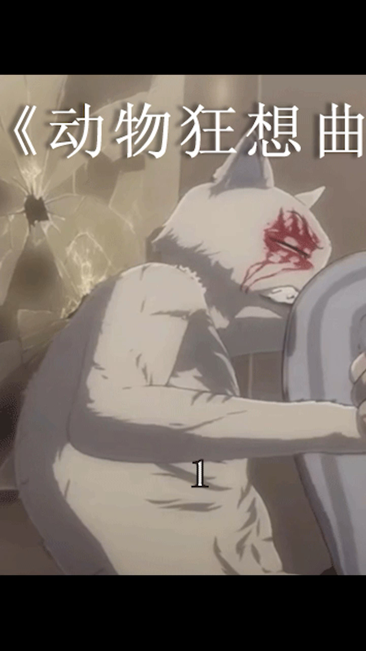 动漫剪辑#动物狂想曲回忆第十话主页看全集