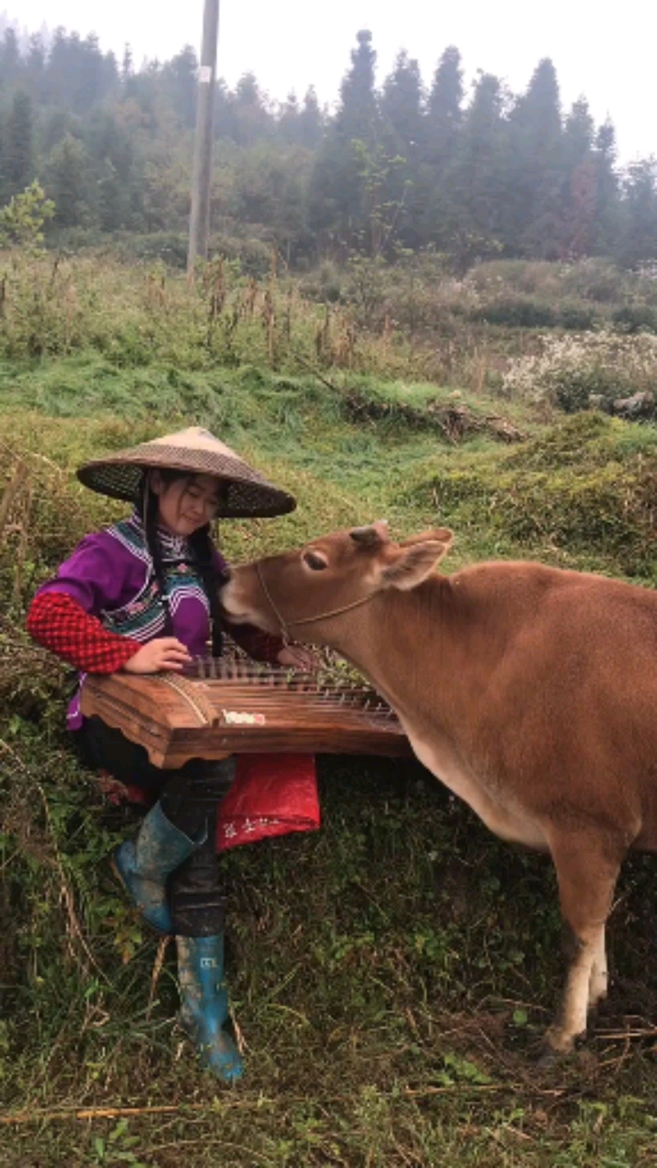 真正的对牛弹琴你见过吗,农村放牛妹太有才了,整挺好