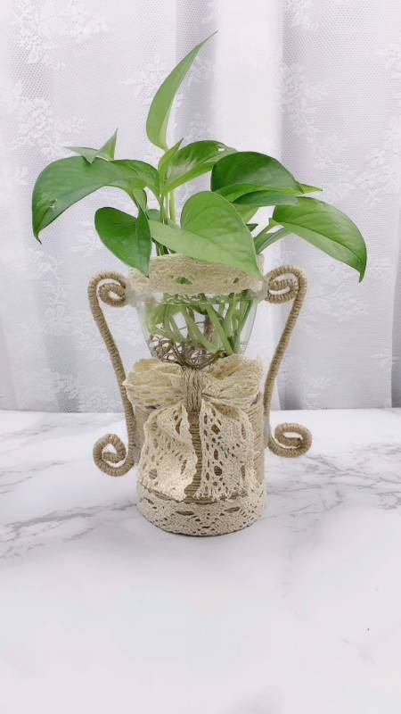 手工制作#用饮料瓶做了个奖杯花盆给妈妈养花,妈妈一边夸花盆漂亮