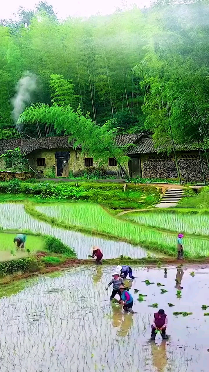 亲近大自然#这是我老家农村山沟沟里,如果你不小心刷到了我,那就多花