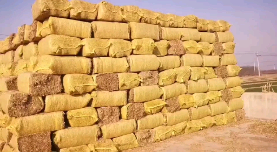 通知:揉丝玉米秸秆干草捆和谷草捆恢复到年前价格!