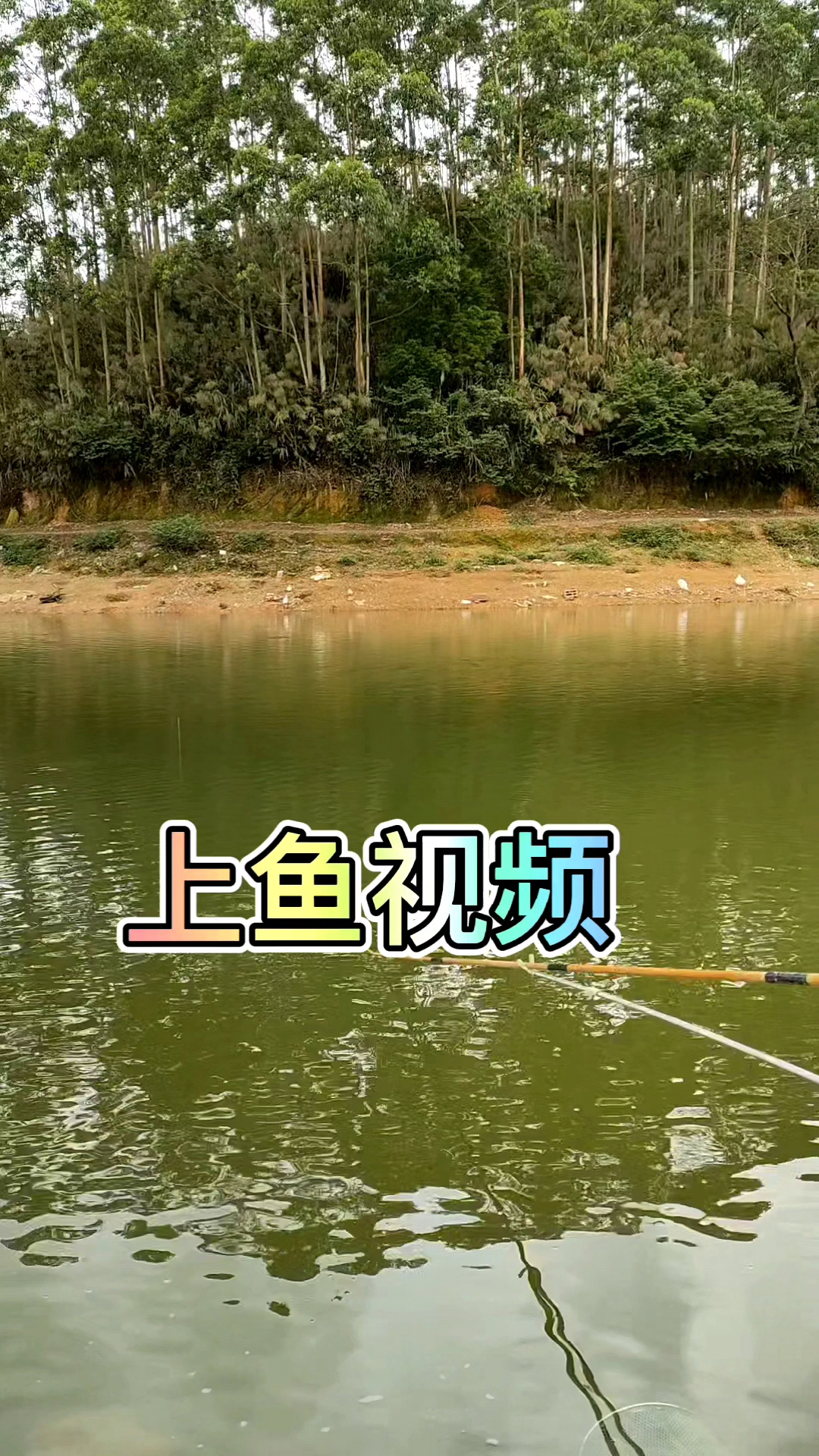 钓鱼#会不会是20斤以上大物,手竿浮钓鲢鳙上鱼视频,户外野钓大陀沣