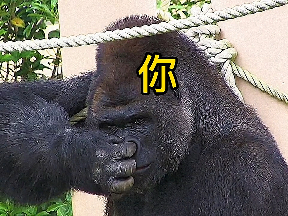 動物搞笑#像極了我老公摳鼻屎的時候,這個動作一點不差