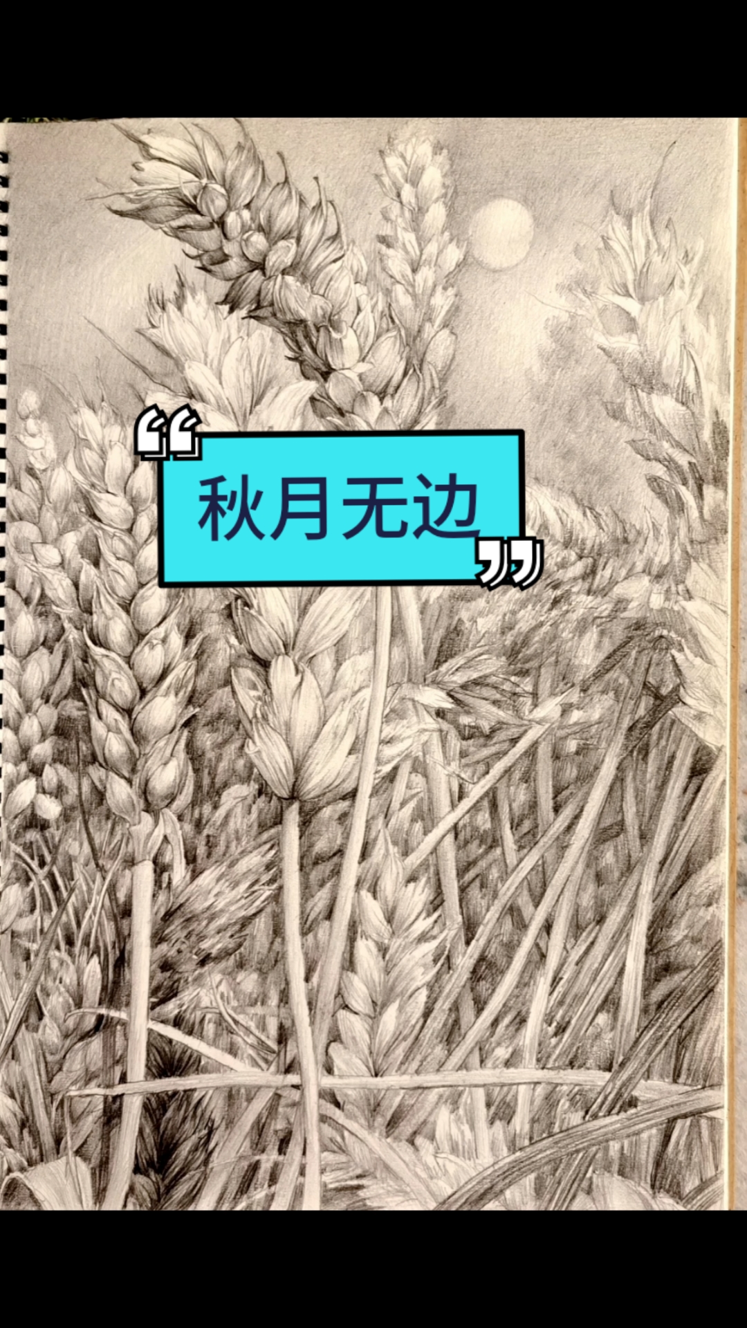绘画#麦田素描之秋月无边