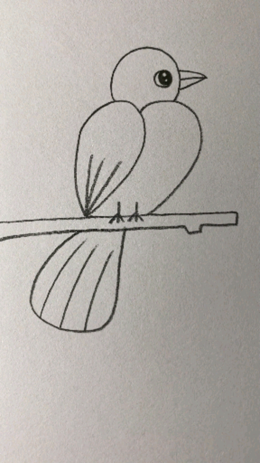 用22画一只小鸟