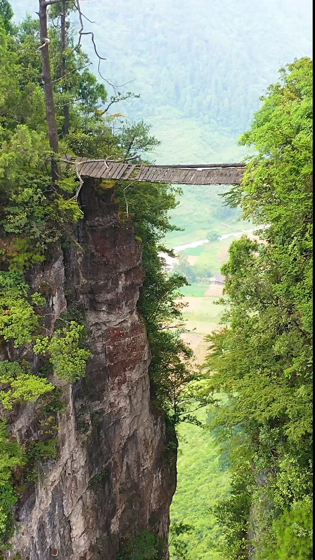 贵州大山上发现一座木桥,至今无人敢过,听当地人说