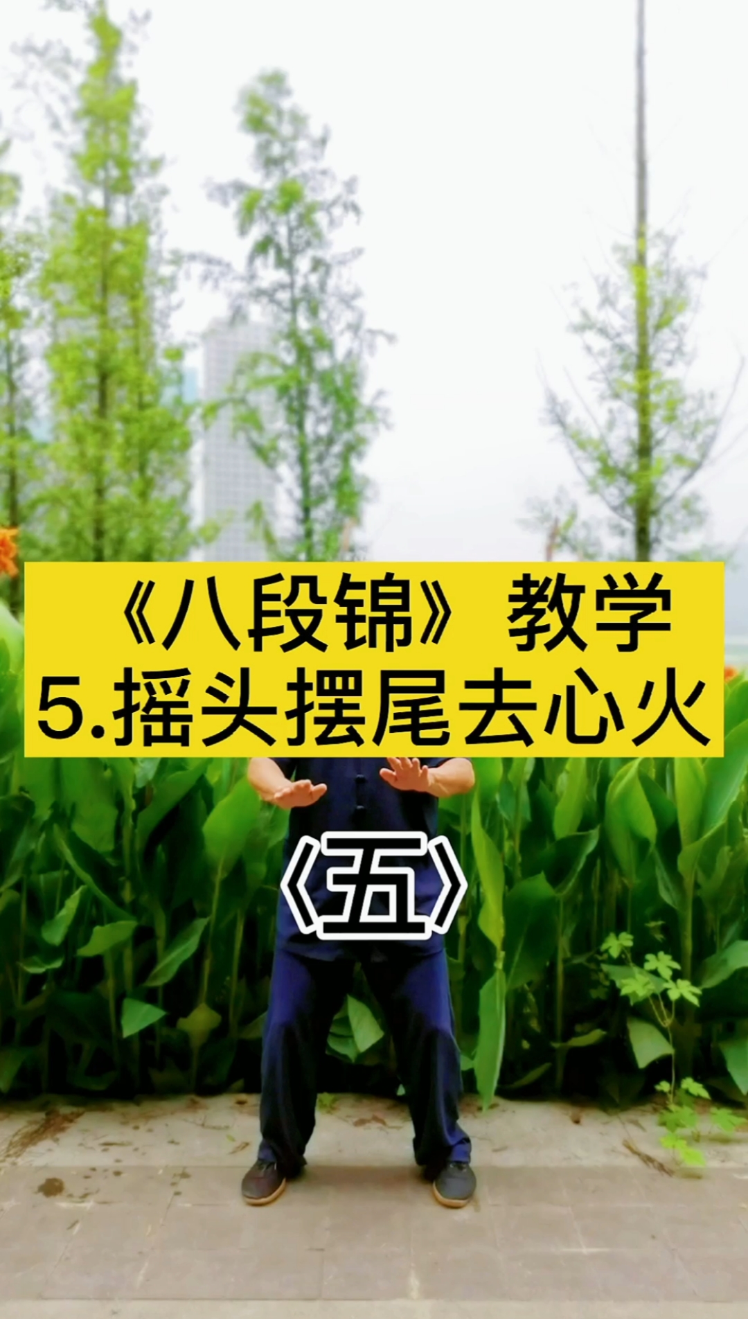 八段锦#健身气功八段锦教学第五式:摇头摆尾去心火-度小视