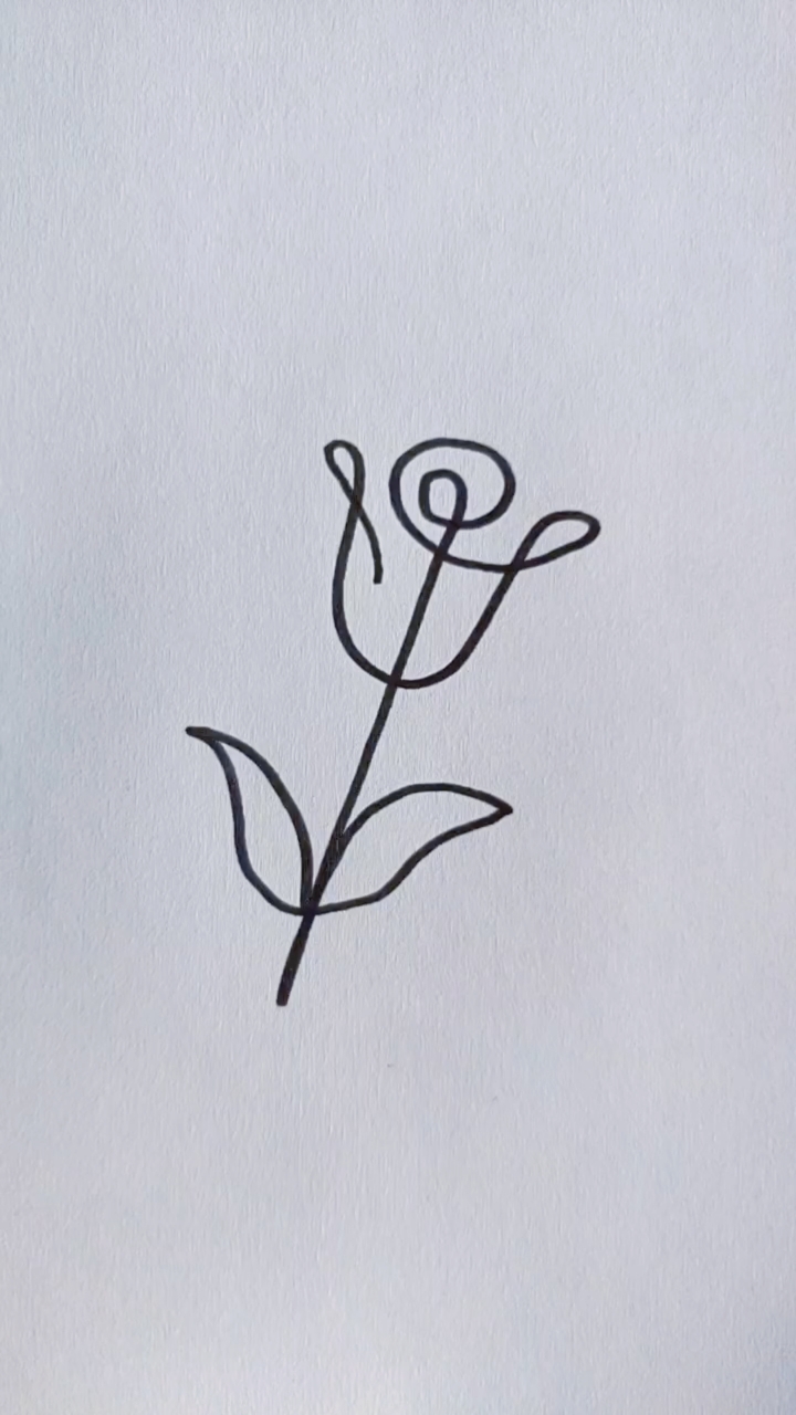 一笔画玫瑰