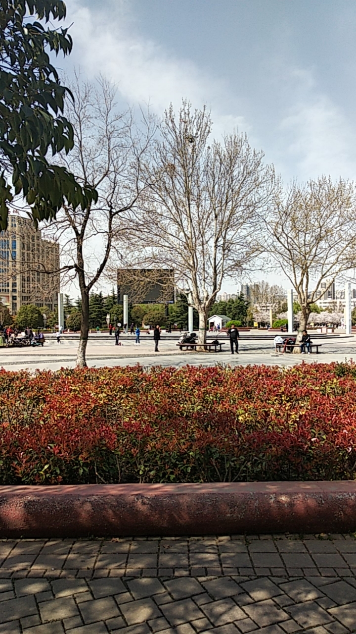 平顶山印象#平顶山鹰城广场