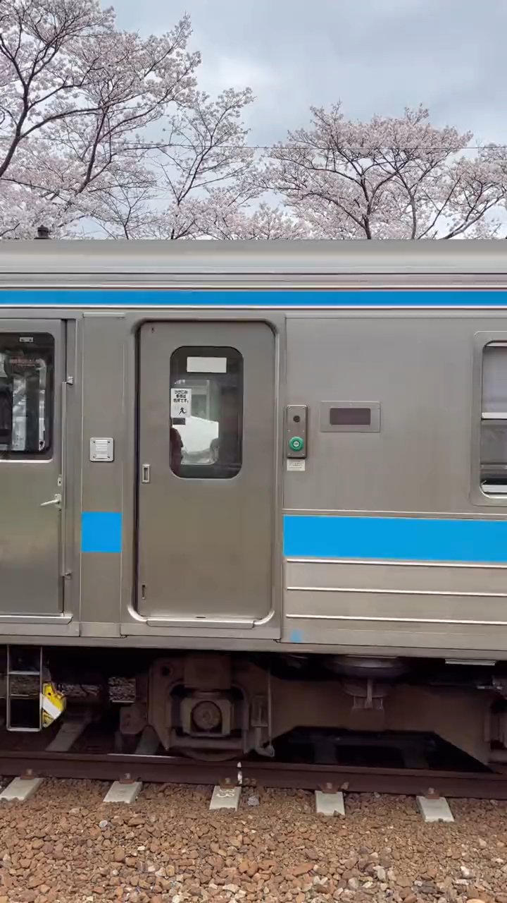 日本樱花电车铁轨美景