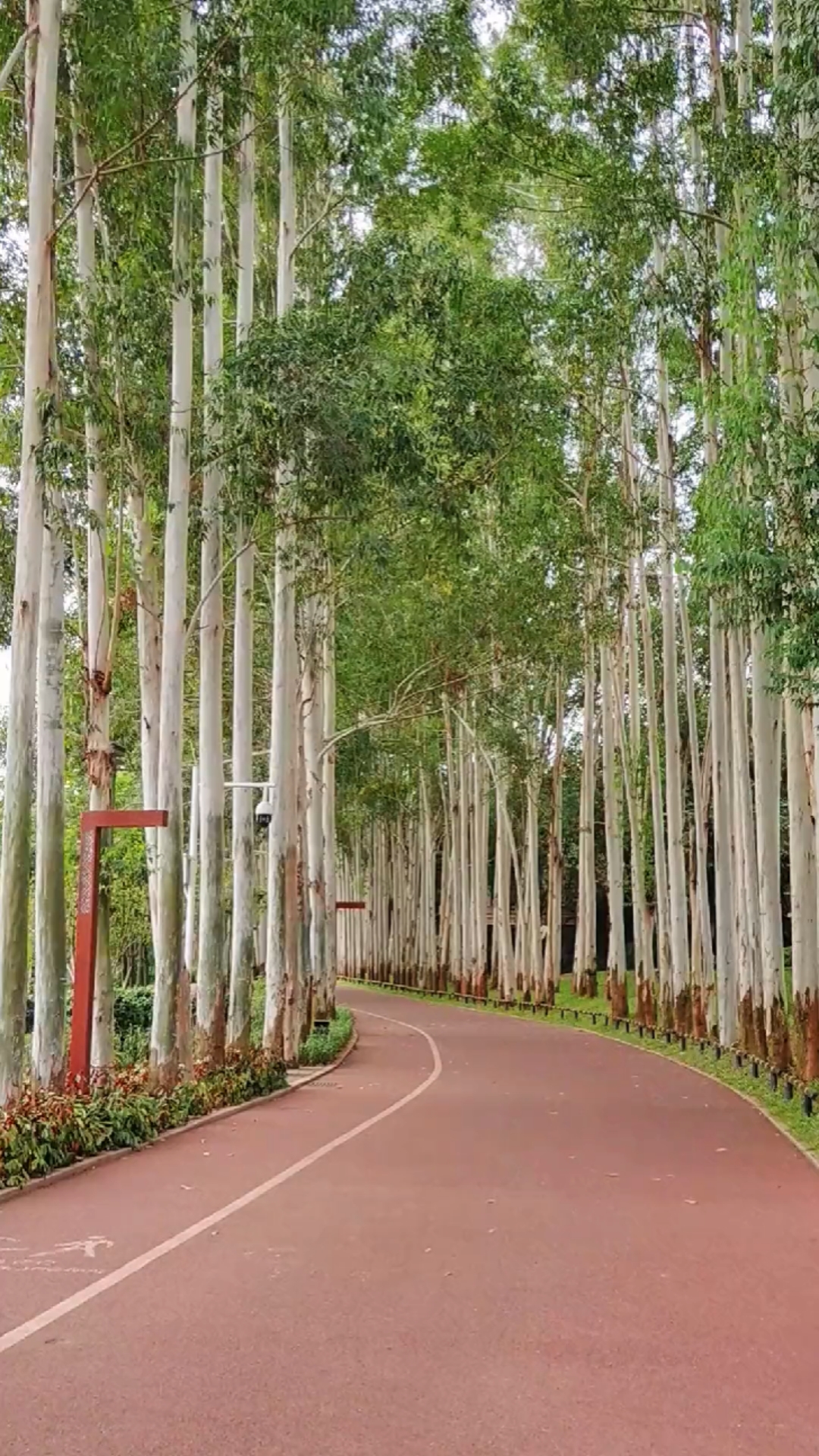 南宁柳沙公园美景.