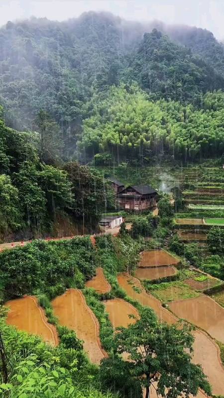 最美人間四月天#喜歡農村的下雨天嗎?