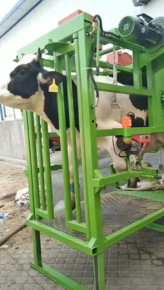 养牛立式修蹄车给牛修牛蹄做手术都方便全液压控制立式升降