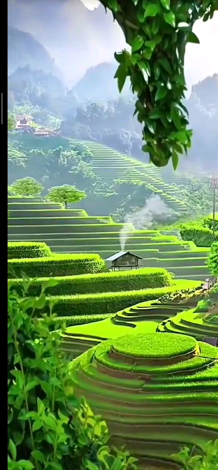 旅游进行时#祖国美丽山河任我游!