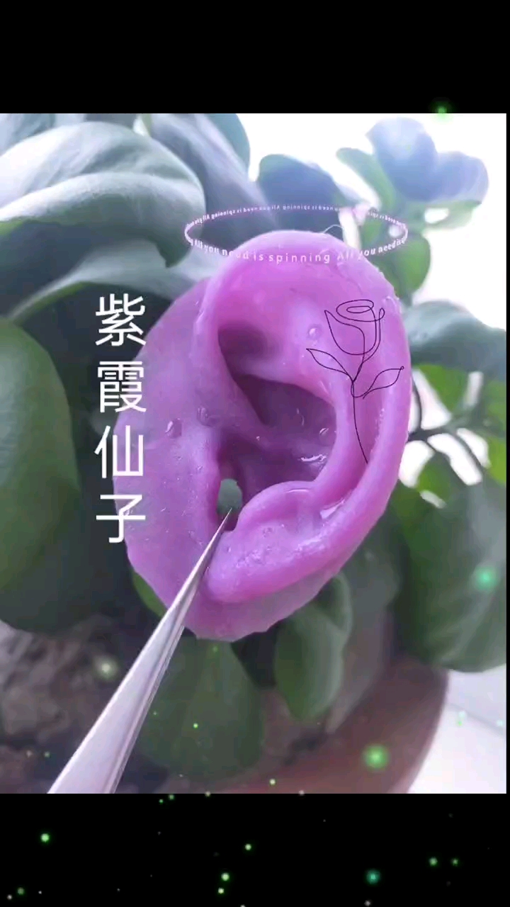 不一样的人生耳朵义耳的色彩风