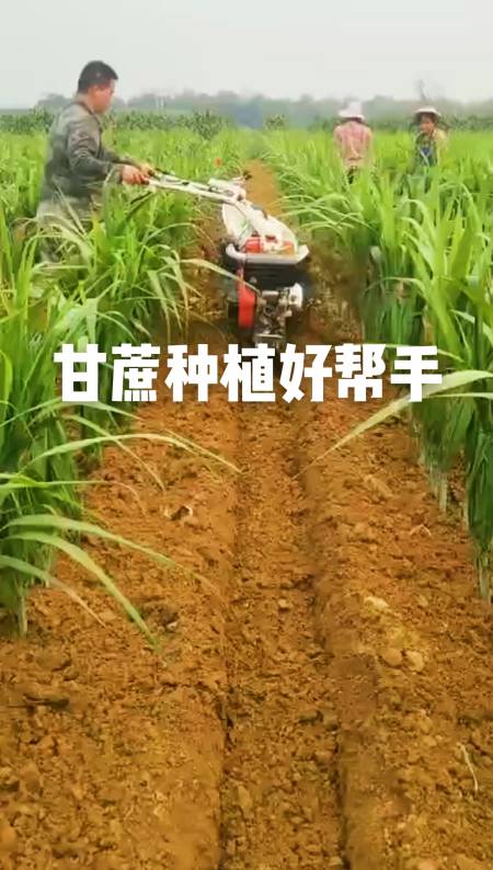 甘蔗种植#农民种甘蔗都用的开沟培土机,操作这么灵活,真不愧是农玫哪