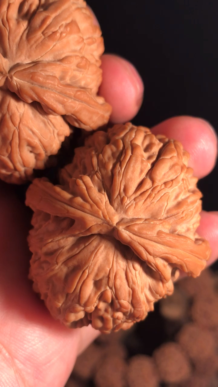 文玩核桃#元宝白!尖贼厚筋!