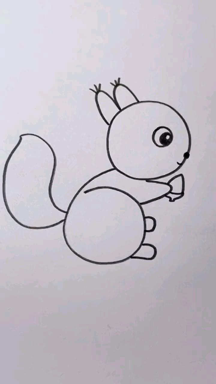 可爱的小松鼠简笔画图片