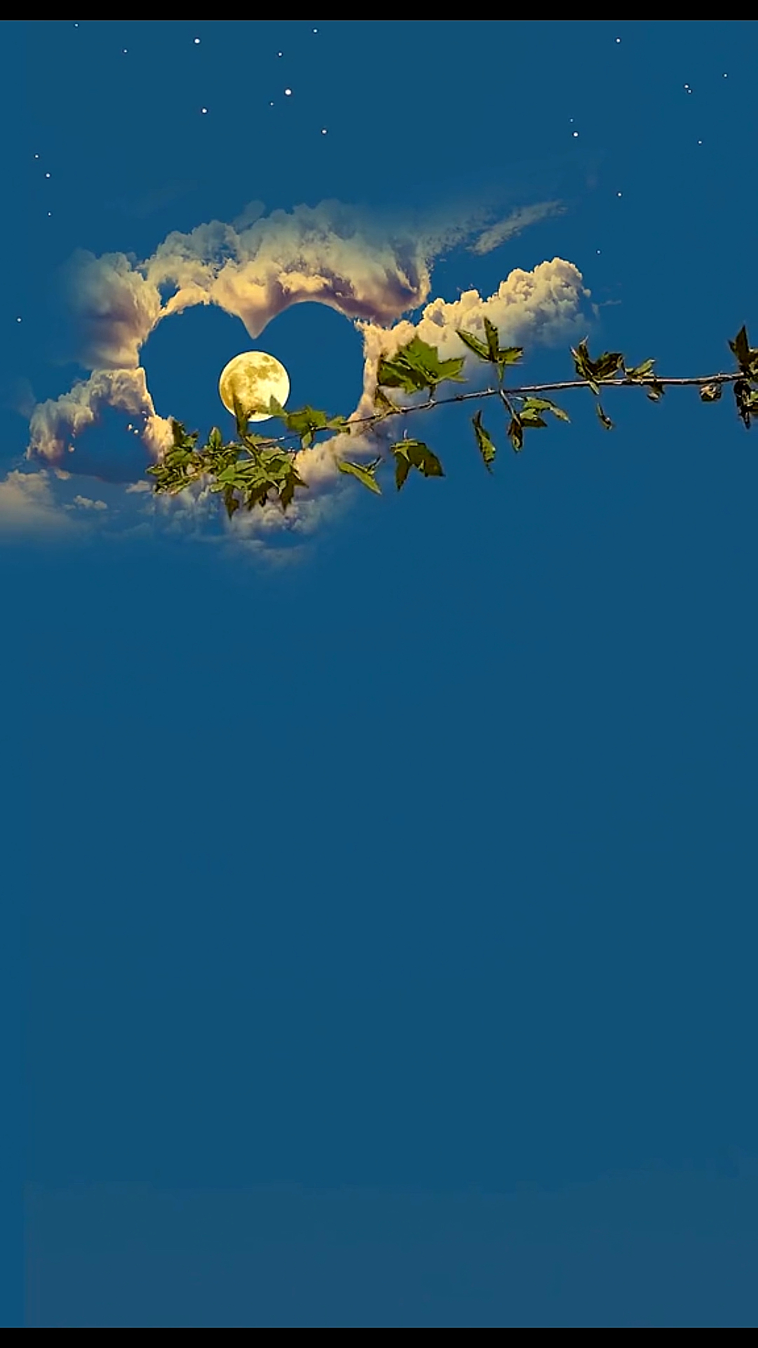 最美的风景#愿看到此视频的你都值得被爱
