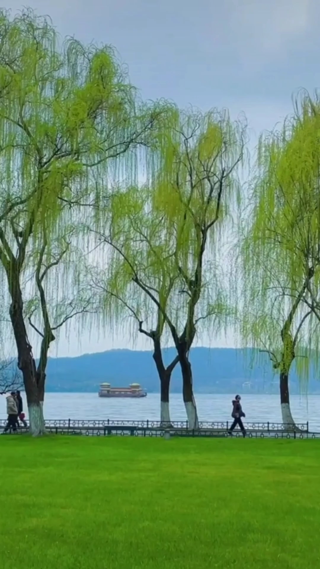 西湖美景三月天,春雨如酒柳如烟