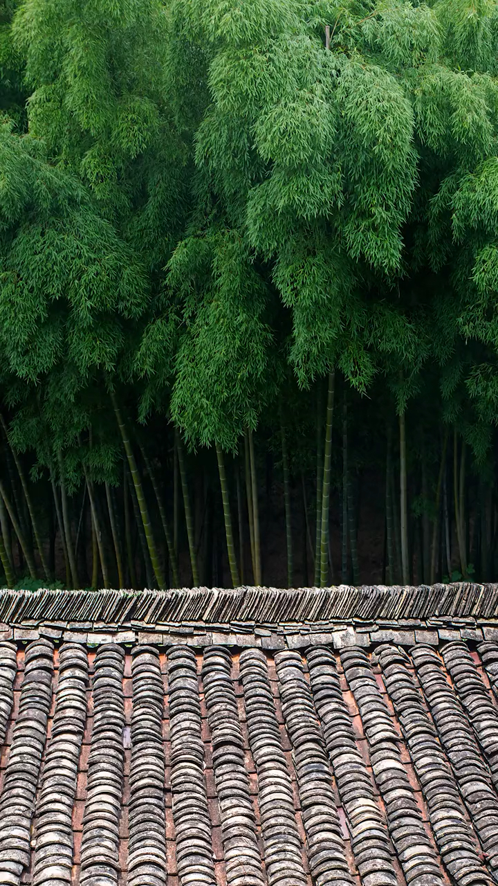 竹林深处有人家,幽静踏寻挚友暇;不问来客归何处,鸟语花香知天涯