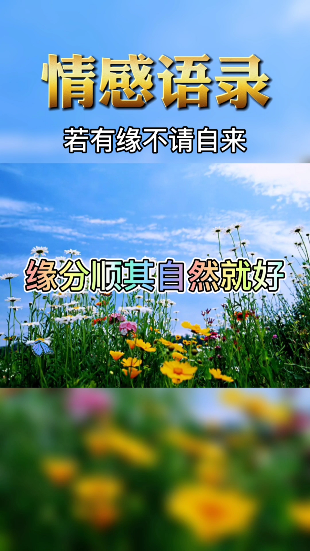 情感故事#缘分顺其自然就好,若有缘不请自己,若无缘求也没用.