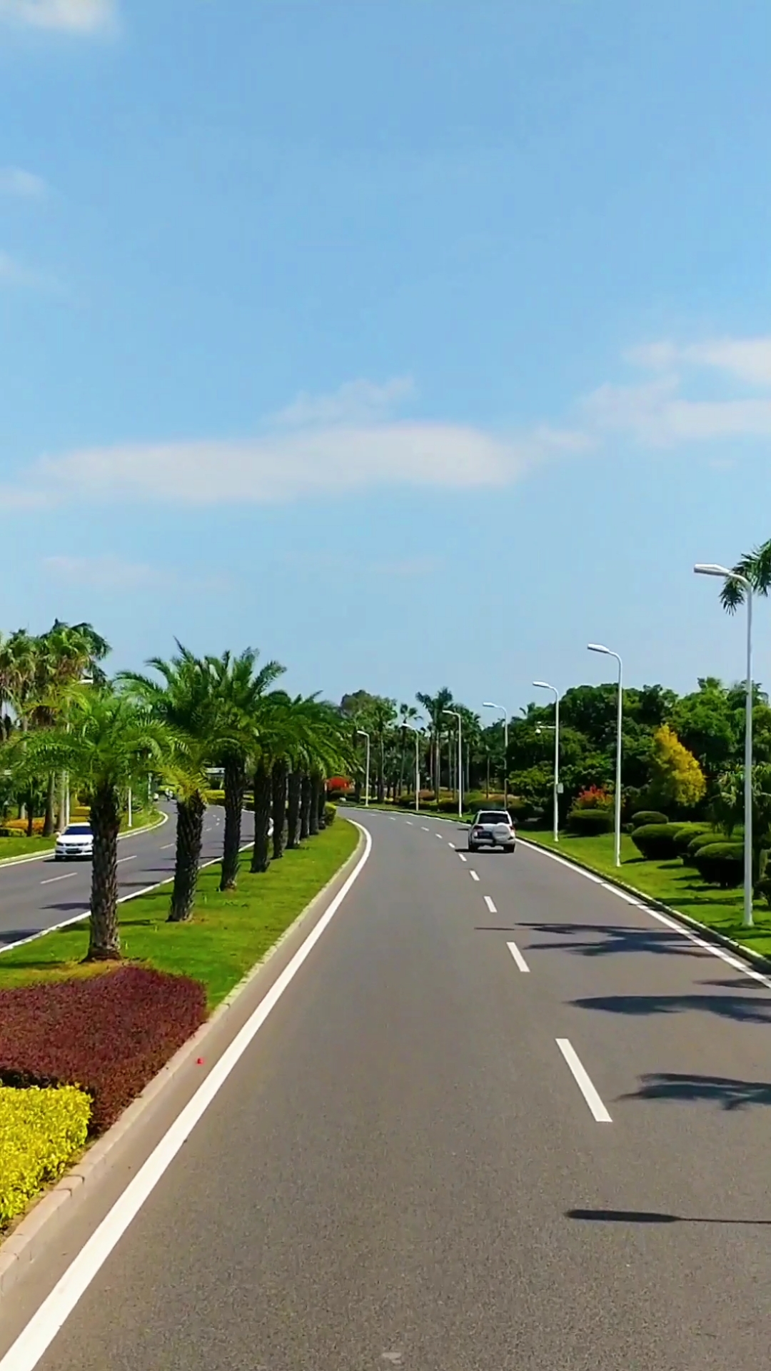 这里风景不错#环岛路是厦门环海风景旅游的主干道,是环绕厦门全岛的