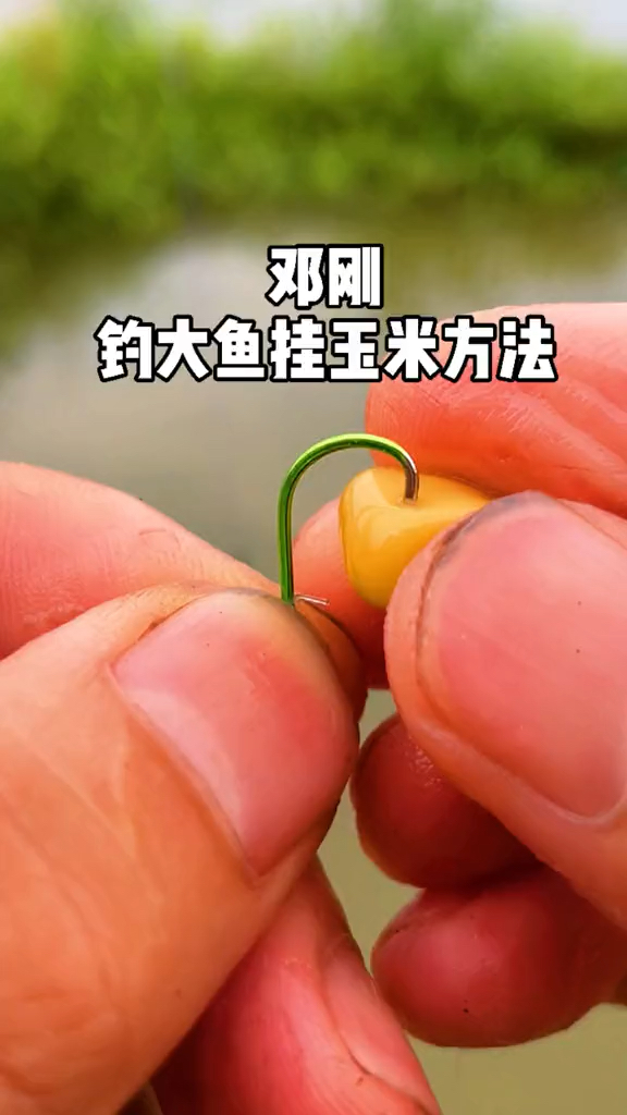 钓鱼技巧#邓老师巨物连杆,原来挂玉米是这样挂的!