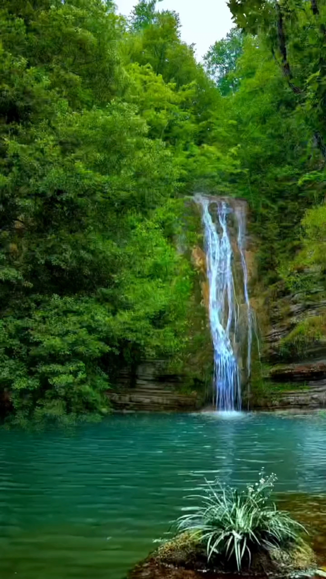 青山绿水,林间小溪清,潺潺的流水,大自然的美,让人心旷神怡