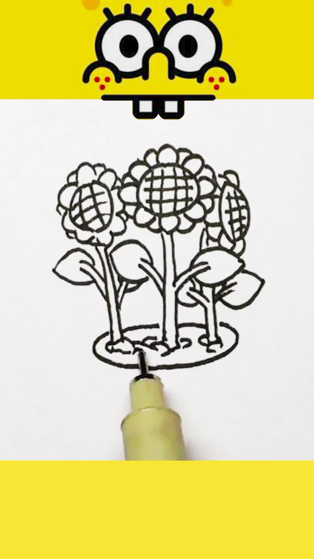 简笔画向日葵种在花盆里也很漂亮还可以收获瓜子