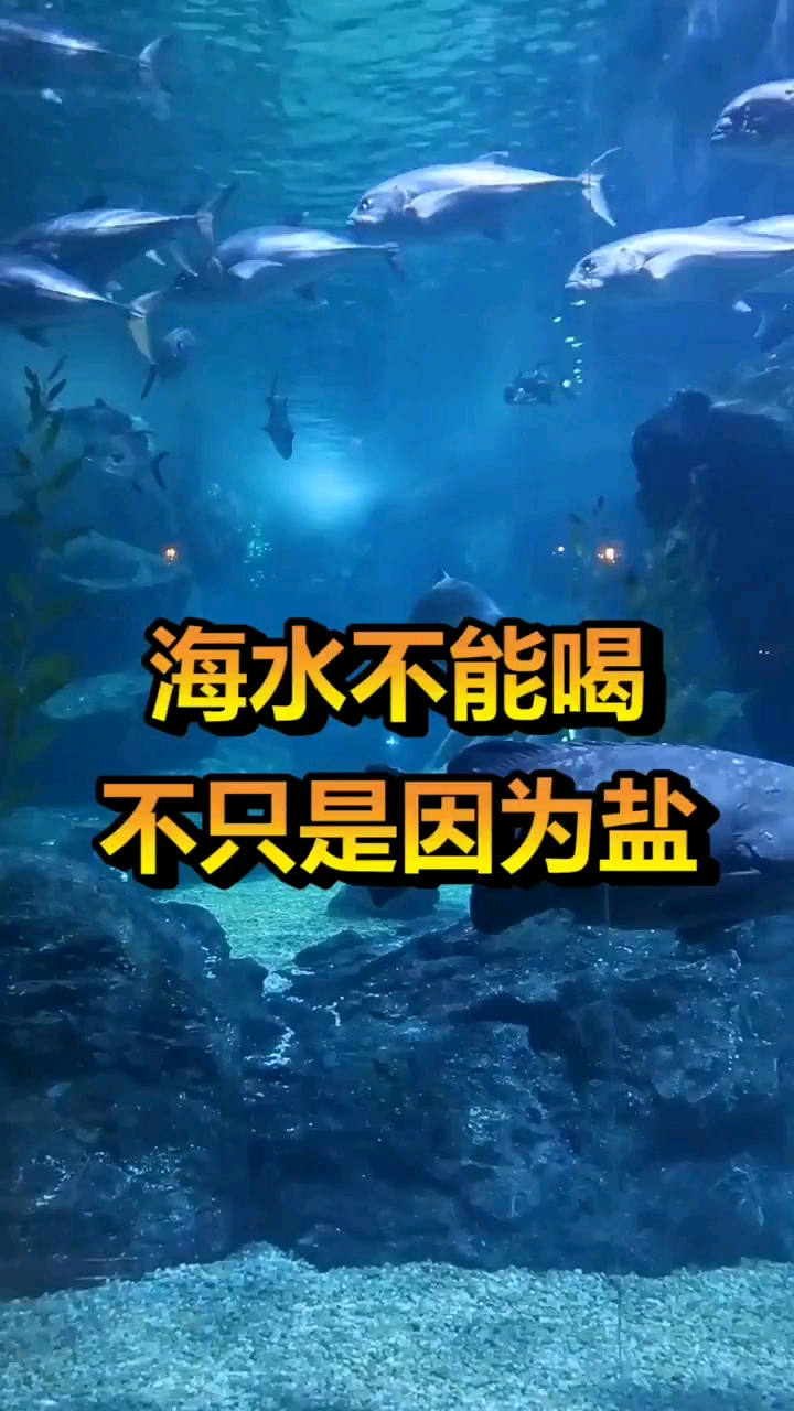 海水不能喝,不只是因为盐,对此你怎么看?