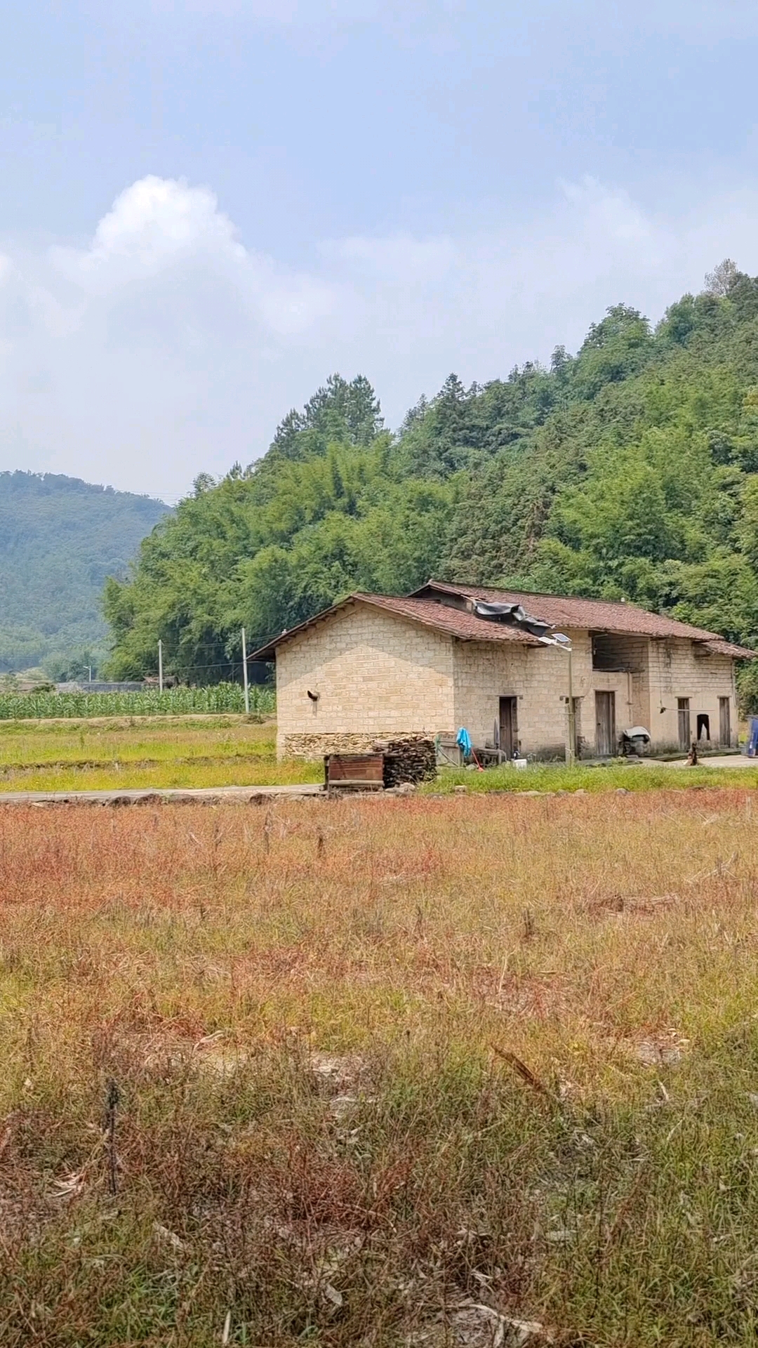 找个偏远的农村,过上隐居山林的生活可好?