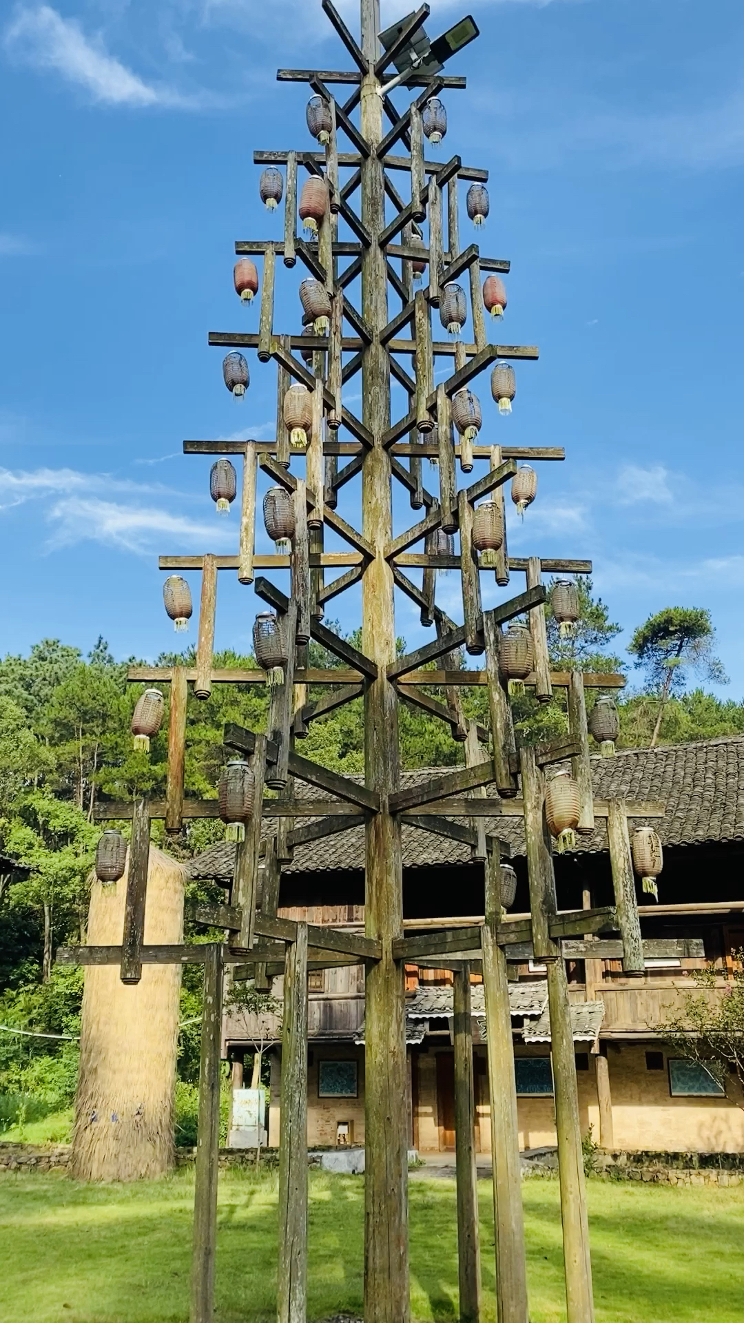 柳州#你们也没想到君武森林公园有这么美丽的一道风景吧.