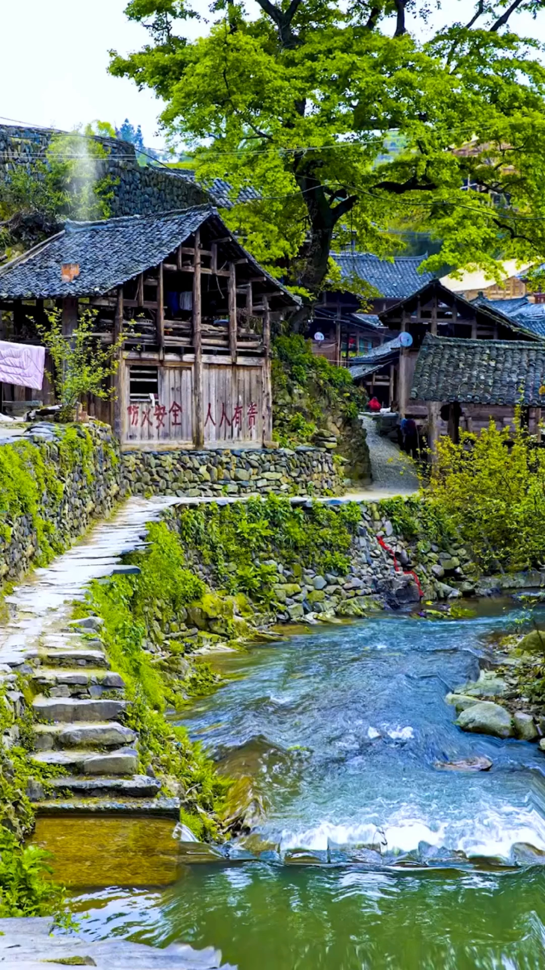 乡村生活#小桥流水人家