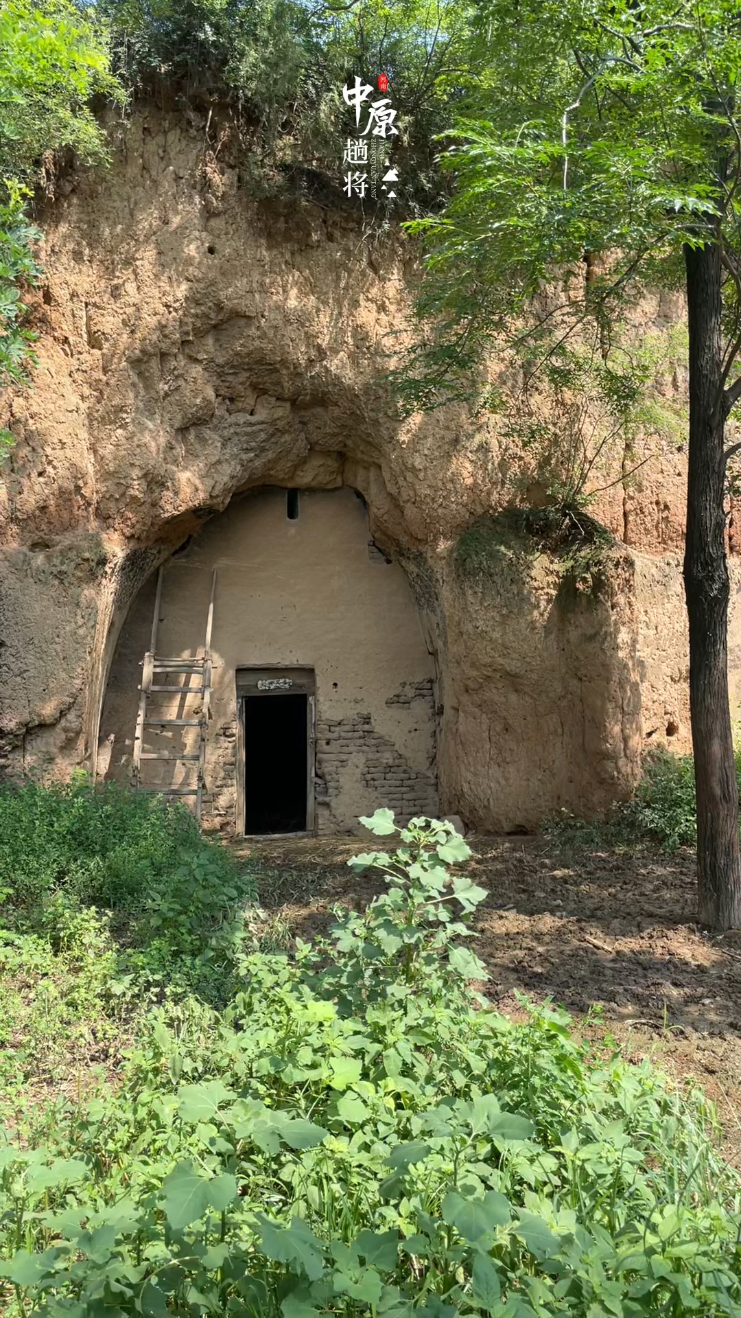 家在河南豫西的农村有很多这样的土窑洞彻底的废弃等待着坍塌