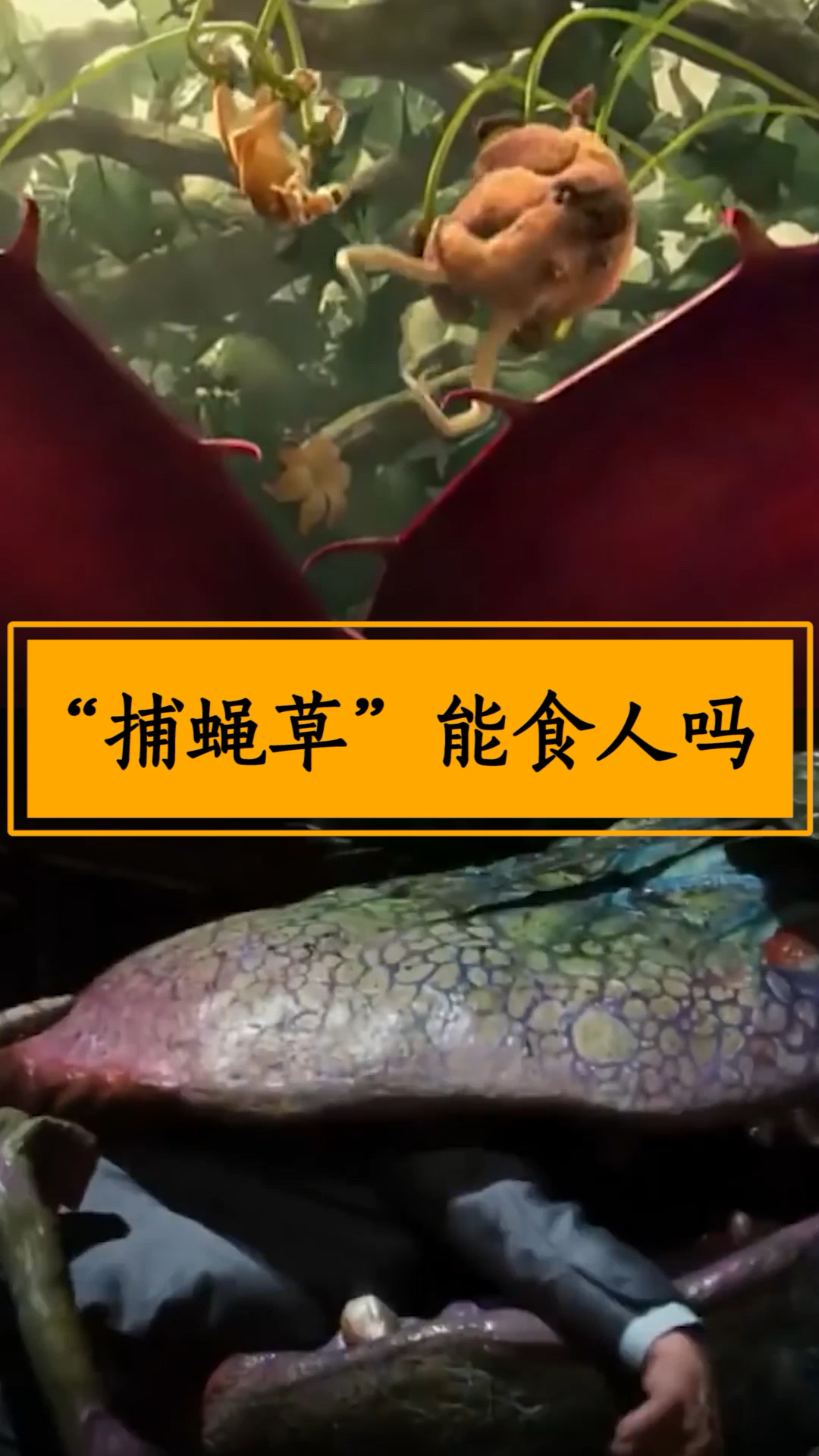 如果被食人草吞下该怎么办