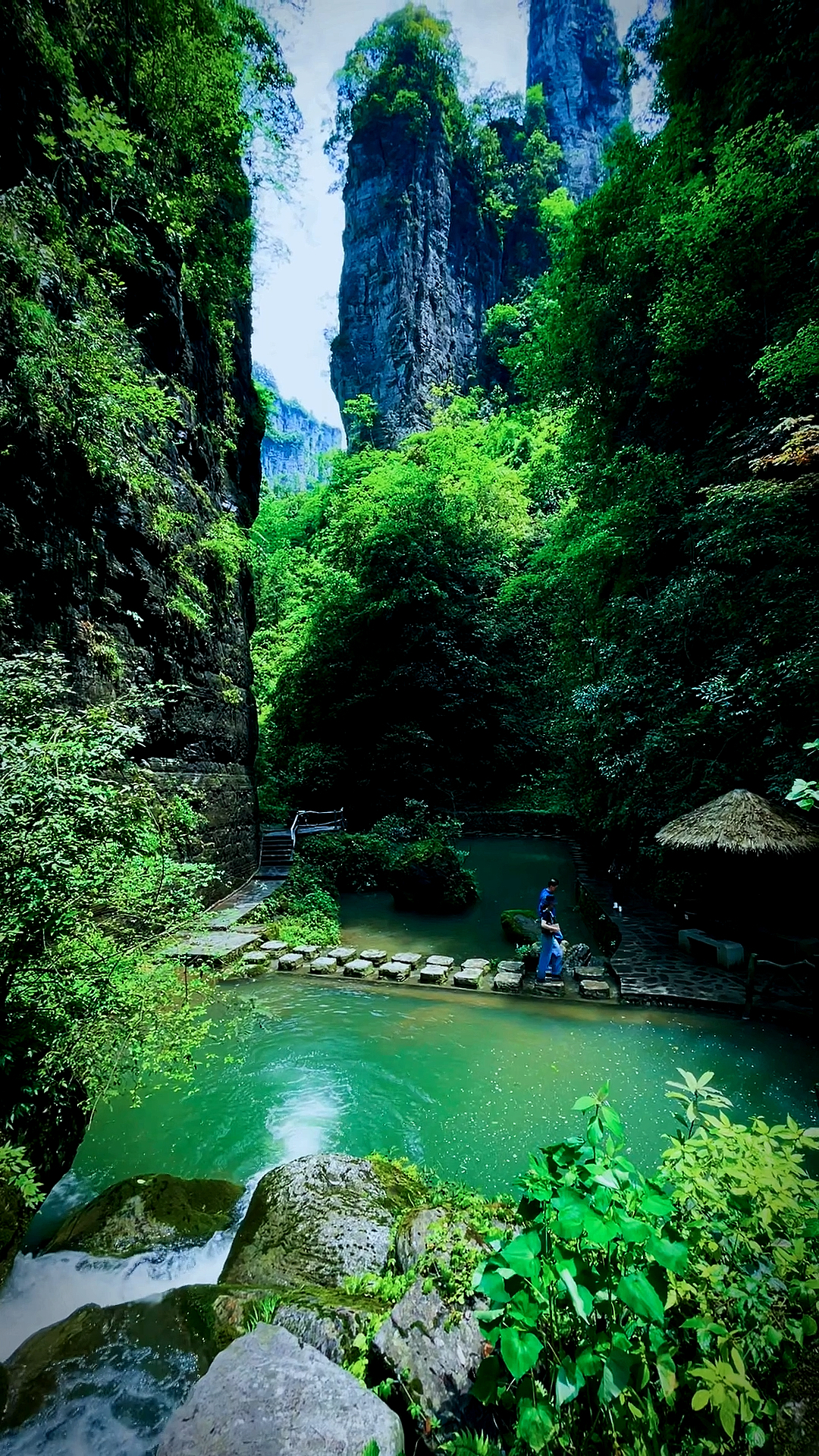 我的私藏景点#湘西矮寨德夯大峡谷