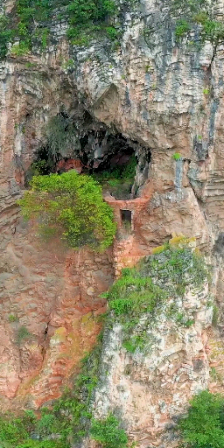 只有鸟才能飞上去的山洞,里面竟有人住过,怎么上去的