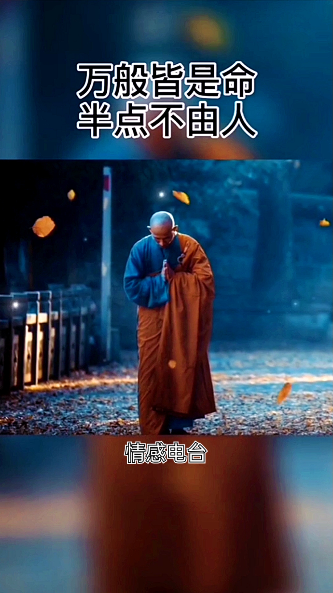 情感故事#万事莫强求《人生感悟》