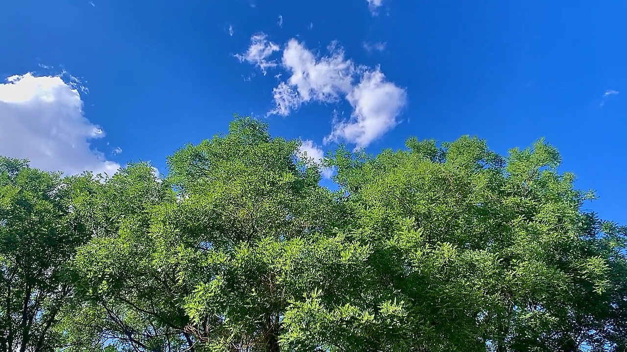 快樂其實很簡單,比如天空很藍,風很溫柔,雲朵很白