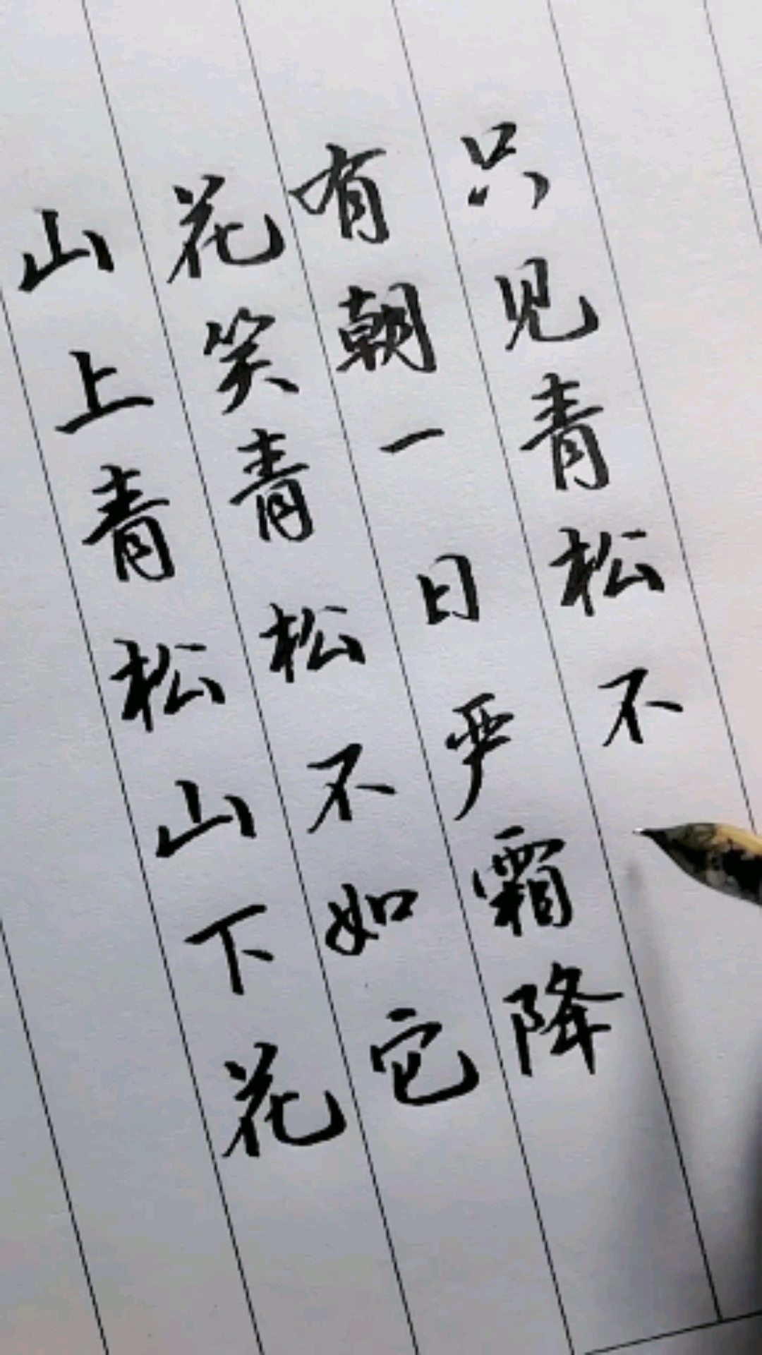 有朝一日严霜降,只见青松不见花.